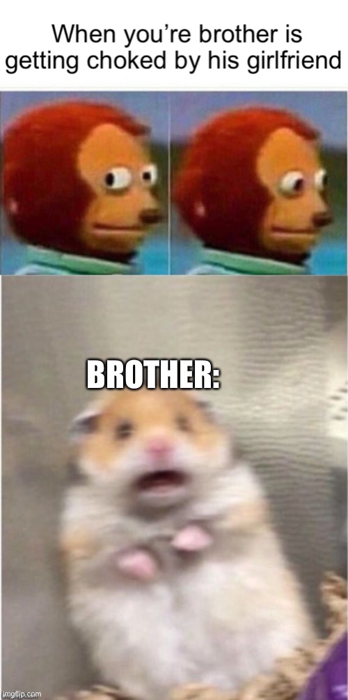 average | BROTHER: | image tagged in scared hamster | made w/ Imgflip meme maker