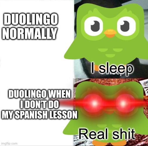 Duolingo | DUOLINGO NORMALLY; I sleep; DUOLINGO WHEN I DON’T DO MY SPANISH LESSON; Real shit | image tagged in sleeping shaq | made w/ Imgflip meme maker