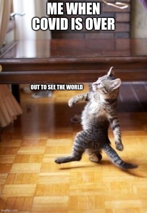 Cool Cat Stroll |  ME WHEN COVID IS OVER; OUT TO SEE THE WORLD | image tagged in memes,cool cat stroll | made w/ Imgflip meme maker