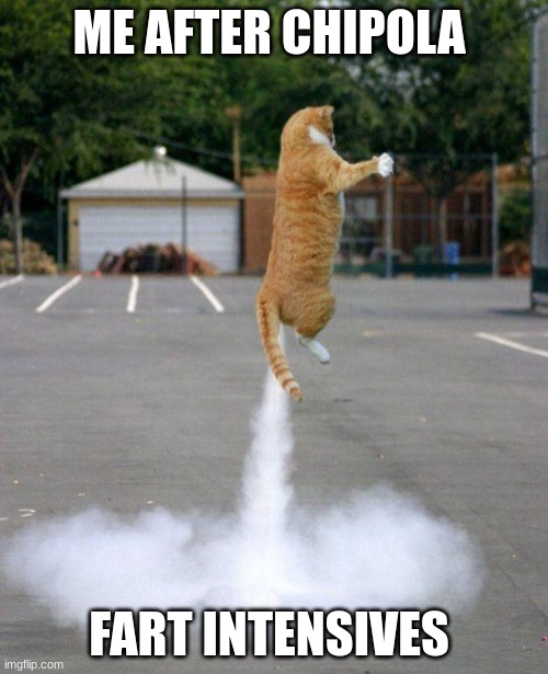 Rocket cat | ME AFTER CHIPOLA; FART INTENSIVES | image tagged in rocket cat | made w/ Imgflip meme maker