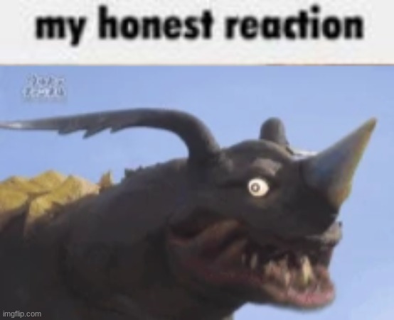 my honest reaction | image tagged in my honest reaction | made w/ Imgflip meme maker