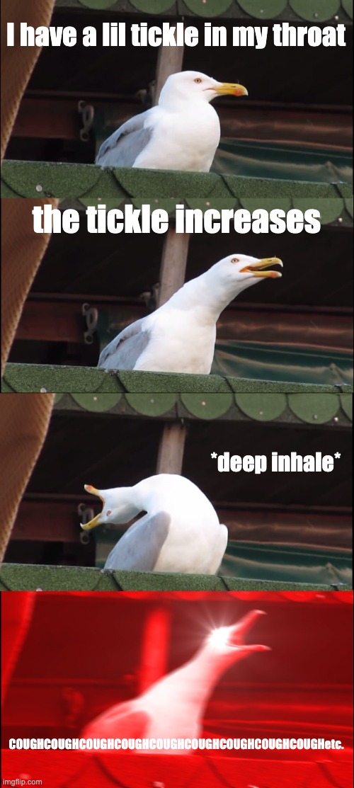 And then everybody turns to look at you... | I have a lil tickle in my throat; the tickle increases; *deep inhale*; COUGHCOUGHCOUGHCOUGHCOUGHCOUGHCOUGHCOUGHCOUGHetc. | image tagged in memes,inhaling seagull | made w/ Imgflip meme maker