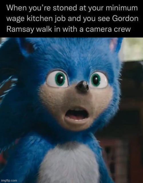 image tagged in sonic movie | made w/ Imgflip meme maker