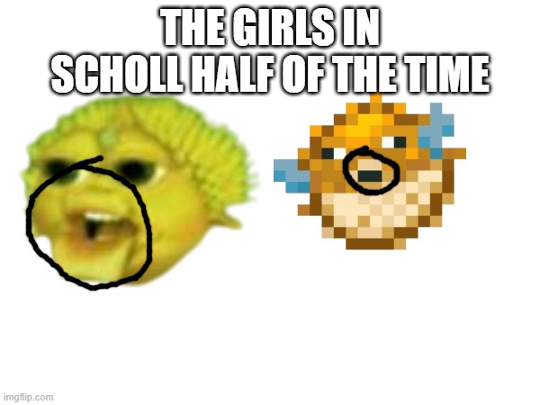 true | THE GIRLS IN SCHOLL HALF OF THE TIME | image tagged in middle school,high school,funny,memes,so true,true | made w/ Imgflip meme maker