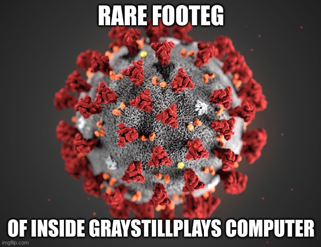 Coronavirus | RARE FOOTEG; OF INSIDE GRAYSTILLPLAYS COMPUTER | image tagged in coronavirus | made w/ Imgflip meme maker