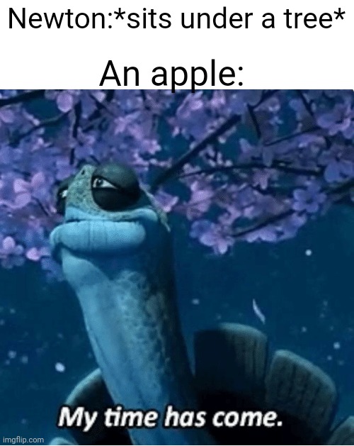 That's how we discovered gravity | Newton:*sits under a tree*; An apple: | image tagged in my time has come,lol,funny,memes,funny memes | made w/ Imgflip meme maker