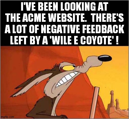 Sounds Like A Bad Company ! | I'VE BEEN LOOKING AT THE ACME WEBSITE.  THERE'S A LOT OF NEGATIVE FEEDBACK LEFT BY A 'WILE E COYOTE' ! | image tagged in fun,feedback,wile e coyote | made w/ Imgflip meme maker