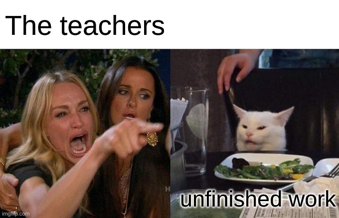 Woman Yelling At Cat Meme | The teachers; unfinished work | image tagged in memes,woman yelling at cat | made w/ Imgflip meme maker