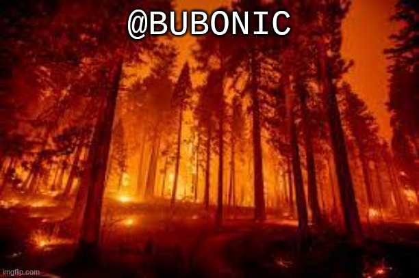 fire | @BUBONIC | image tagged in memes | made w/ Imgflip meme maker