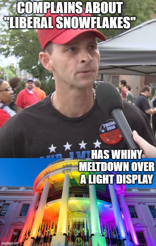 I mean, seriously... aren't right-wingers the folks who make such a big stink about "over-sensitivity"? | COMPLAINS ABOUT "LIBERAL SNOWFLAKES"; HAS WHINY MELTDOWN OVER A LIGHT DISPLAY | image tagged in trump supporter,rainbow lights white house | made w/ Imgflip meme maker