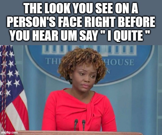 SHE's done ..  I hope Biden replaces her SAM he needs a job. | THE LOOK YOU SEE ON A PERSON'S FACE RIGHT BEFORE YOU HEAR UM SAY " I QUITE " | image tagged in democrat | made w/ Imgflip meme maker
