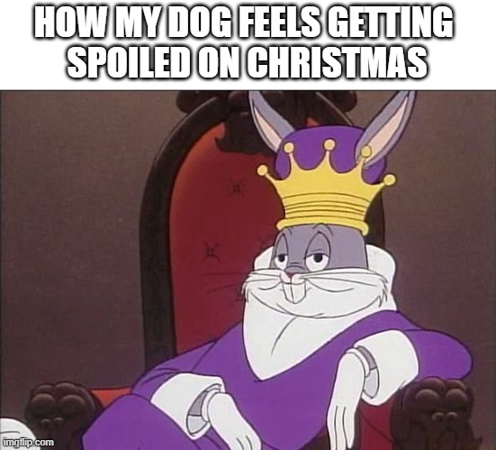 christmas bugs bunny | HOW MY DOG FEELS GETTING 
SPOILED ON CHRISTMAS | image tagged in bugs bunny king,funny,christmas,bugs bunny | made w/ Imgflip meme maker