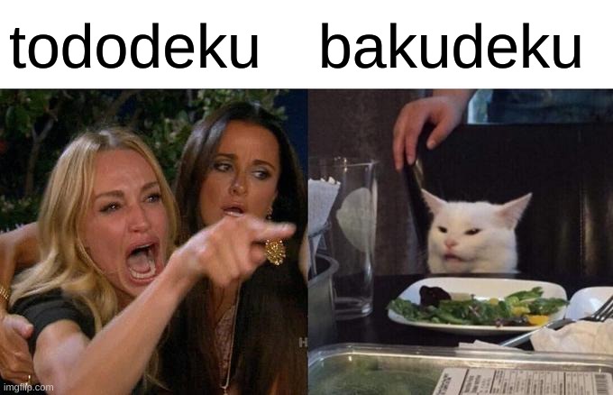 Woman Yelling At Cat | tododeku; bakudeku | image tagged in memes,woman yelling at cat | made w/ Imgflip meme maker