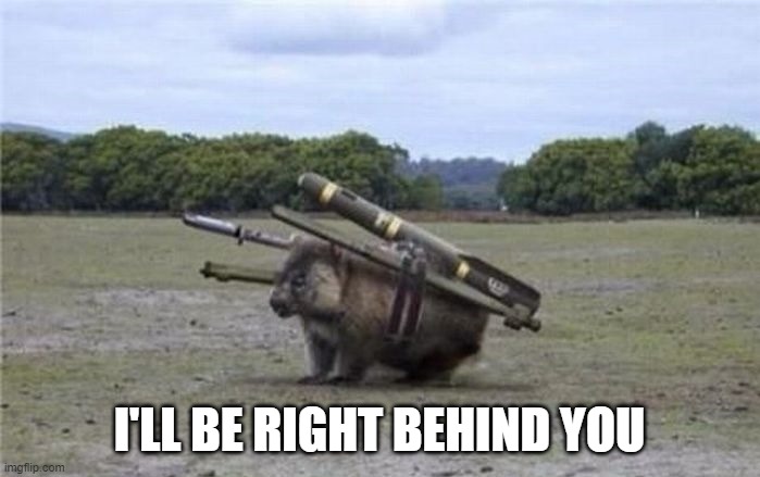 Combat Wombat | I'LL BE RIGHT BEHIND YOU | image tagged in combat wombat | made w/ Imgflip meme maker