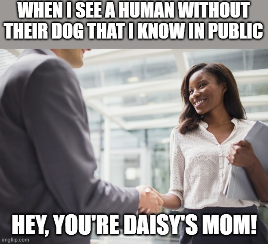 Dog parents | WHEN I SEE A HUMAN WITHOUT THEIR DOG THAT I KNOW IN PUBLIC; HEY, YOU'RE DAISY'S MOM! | image tagged in dog,dog parent,daisy's mom,doglife,dog people | made w/ Imgflip meme maker