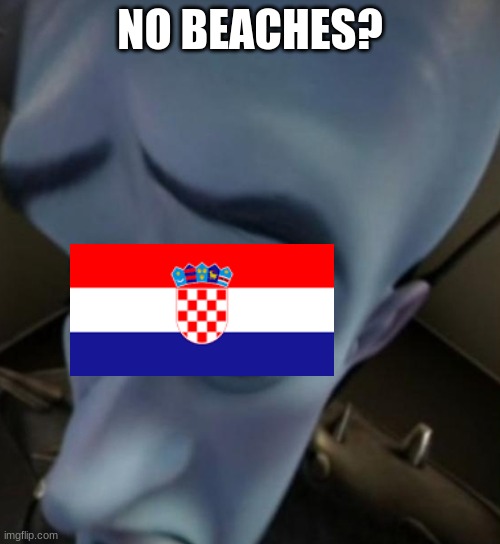 welp | NO BEACHES? | image tagged in megamind no bitches | made w/ Imgflip meme maker