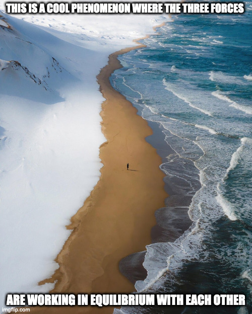 Beach in Japan | THIS IS A COOL PHENOMENON WHERE THE THREE FORCES; ARE WORKING IN EQUILIBRIUM WITH EACH OTHER | image tagged in beach,memes | made w/ Imgflip meme maker