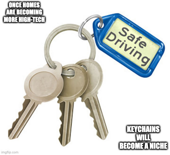 Keychain | ONCE HOMES ARE BECOMING MORE HIGH-TECH; KEYCHAINS WILL BECOME A NICHE | image tagged in keychain,memes | made w/ Imgflip meme maker