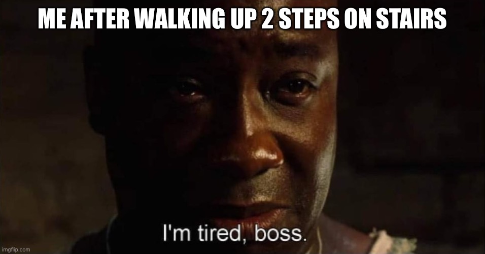 I'm tired boss | ME AFTER WALKING UP 2 STEPS ON STAIRS | image tagged in i'm tired boss | made w/ Imgflip meme maker