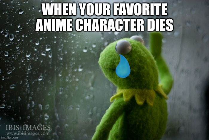 kermit window | WHEN YOUR FAVORITE ANIME CHARACTER DIES | image tagged in kermit window,kermit the frog,anime meme,anime | made w/ Imgflip meme maker