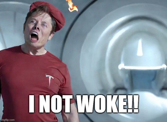 Elon Musk woke mind virus | I NOT WOKE!! | image tagged in elon musk | made w/ Imgflip meme maker