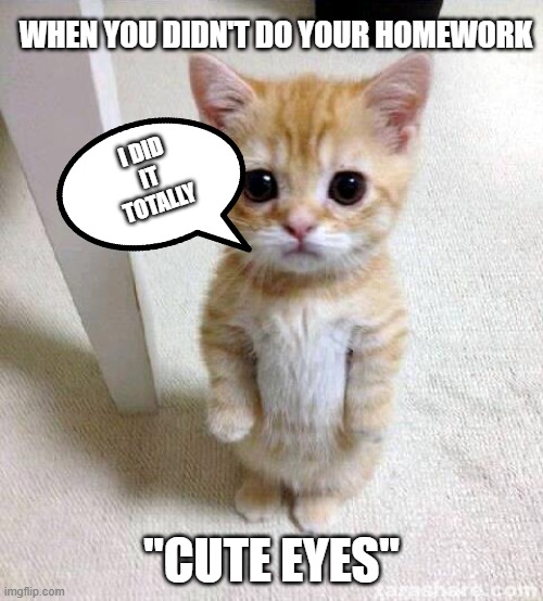 MOMMY | WHEN YOU DIDN'T DO YOUR HOMEWORK; I DID 
IT 
TOTALLY; "CUTE EYES" | image tagged in memes,cute cat | made w/ Imgflip meme maker