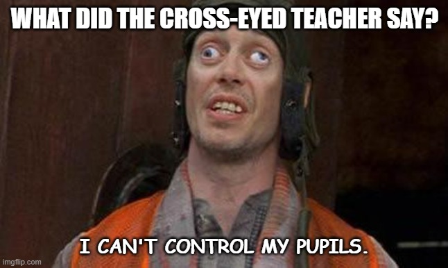 Daily Bad Dad Joke Dec 14 2022 | WHAT DID THE CROSS-EYED TEACHER SAY? I CAN'T CONTROL MY PUPILS. | image tagged in looks good to me | made w/ Imgflip meme maker