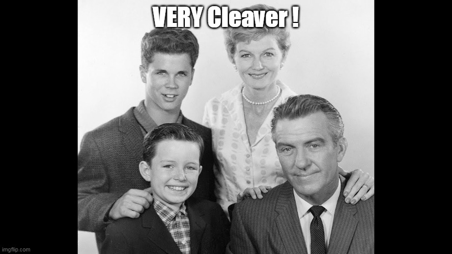 VERY Cleaver ! | made w/ Imgflip meme maker