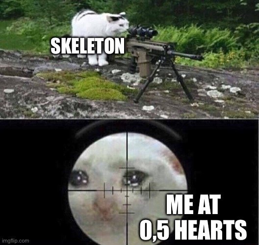 Me in the middle of a cave | SKELETON; ME AT 0,5 HEARTS | image tagged in sniper cat,skeleton,aim | made w/ Imgflip meme maker