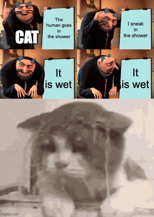 Cats... | The human goes in the shower; I sneak in the shower; CAT; It is wet; It is wet | image tagged in memes,gru's plan,wet cat,cats | made w/ Imgflip meme maker