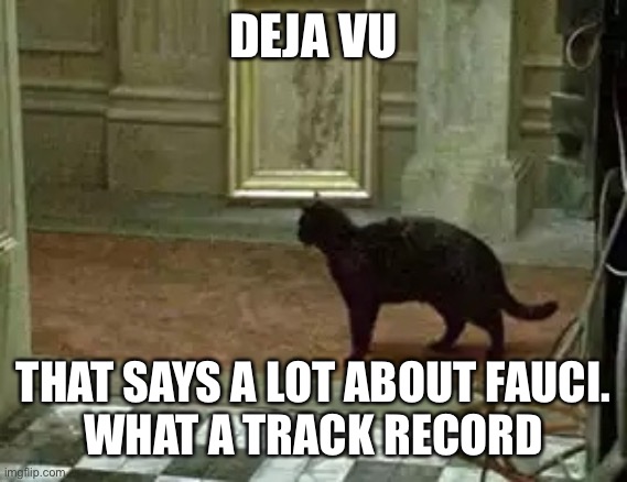 Matrix cat | DEJA VU THAT SAYS A LOT ABOUT FAUCI.
WHAT A TRACK RECORD | image tagged in matrix cat | made w/ Imgflip meme maker