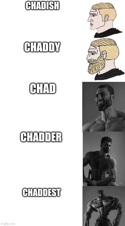 High Quality Chad tiers Blank Meme Template