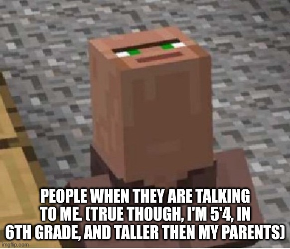 Minecraft Villager Looking Up | PEOPLE WHEN THEY ARE TALKING TO ME. (TRUE THOUGH, I'M 5'4, IN 6TH GRADE, AND TALLER THEN MY PARENTS) | image tagged in minecraft villager looking up | made w/ Imgflip meme maker