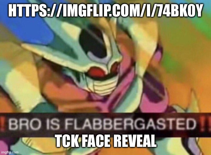 BRO IS FLABBERGASTED | HTTPS://IMGFLIP.COM/I/74BK0Y; TCK FACE REVEAL | image tagged in bro is flabbergasted | made w/ Imgflip meme maker