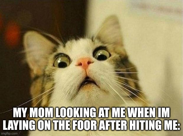 Scared Cat | MY MOM LOOKING AT ME WHEN IM LAYING ON THE FOOR AFTER HITING ME: | image tagged in memes,scared cat | made w/ Imgflip meme maker