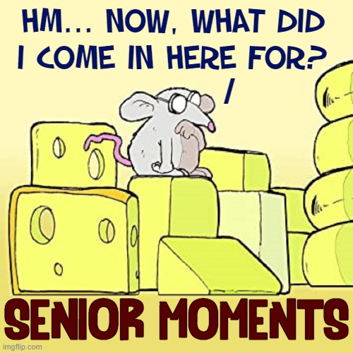 Do Not Feel Alone, my friends! | HM... NOW, WHAT DID
I COME IN HERE FOR? /; SENIOR MOMENTS | image tagged in vince vance,memes,getting old,aging,forgetful,mouse | made w/ Imgflip meme maker