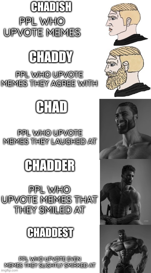Chad tiers | PPL WHO UPVOTE MEMES; PPL WHO UPVOTE MEMES THEY AGREE WITH; PPL WHO UPVOTE MEMES THEY LAUGHED AT; PPL WHO UPVOTE MEMES THAT THEY SMILED AT; PPL WHO UPVOTE EVEN MEMES THEY SLIGHTLY SMIRKED AT | image tagged in chad tiers | made w/ Imgflip meme maker