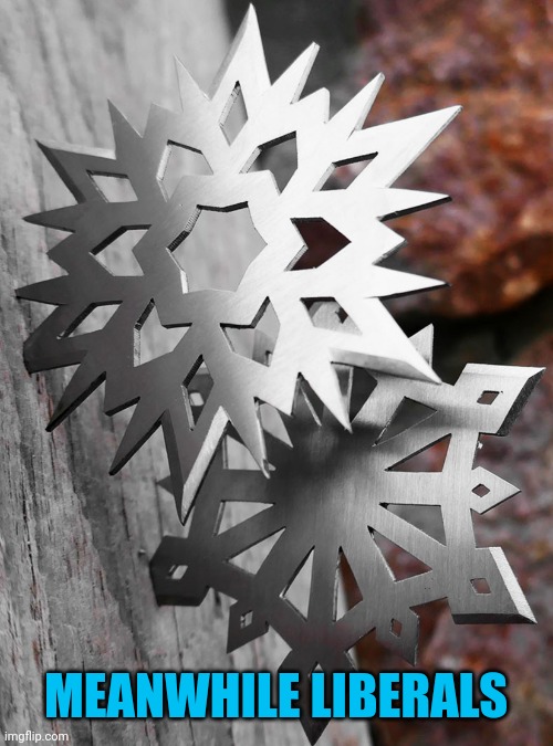 Snowflake Shurikens | MEANWHILE LIBERALS | image tagged in snowflake shurikens | made w/ Imgflip meme maker