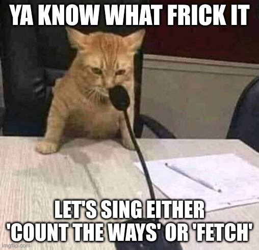 comments below | YA KNOW WHAT FRICK IT; LET'S SING EITHER 'COUNT THE WAYS' OR 'FETCH' | image tagged in cat conference | made w/ Imgflip meme maker