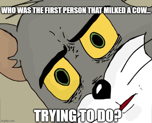 O_O | WHO WAS THE FIRST PERSON THAT MILKED A COW... TRYING TO DO? | image tagged in memes,unsettled tom | made w/ Imgflip meme maker