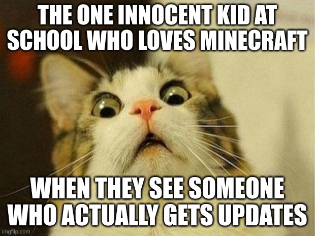 minecrfat | THE ONE INNOCENT KID AT SCHOOL WHO LOVES MINECRAFT; WHEN THEY SEE SOMEONE WHO ACTUALLY GETS UPDATES | image tagged in memes,scared cat | made w/ Imgflip meme maker