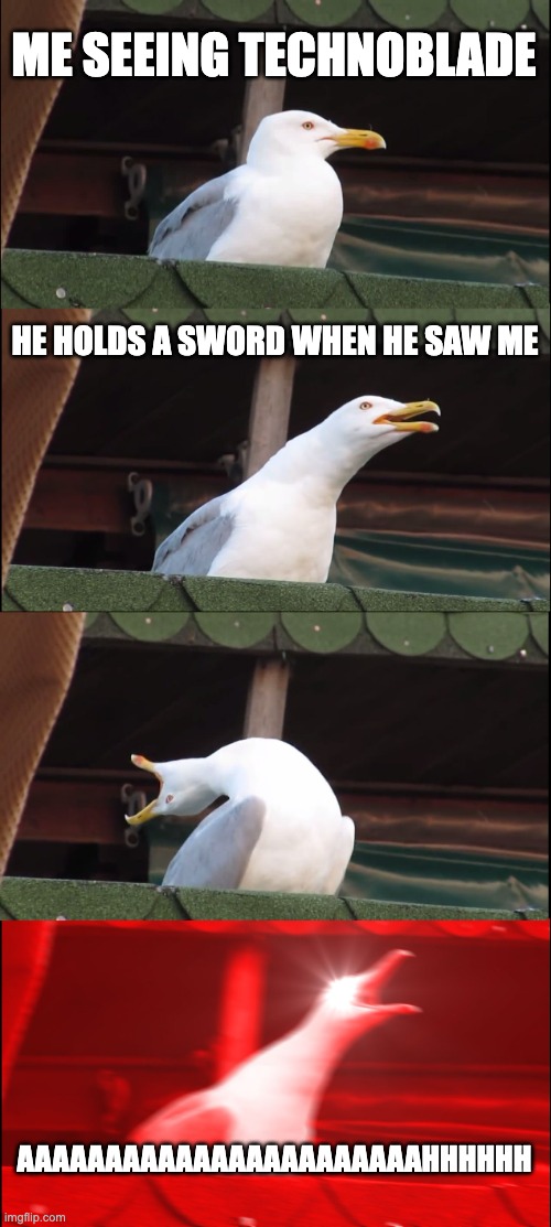 Inhaling Seagull Meme | ME SEEING TECHNOBLADE; HE HOLDS A SWORD WHEN HE SAW ME; AAAAAAAAAAAAAAAAAAAAAAAHHHHHH | image tagged in memes,inhaling seagull | made w/ Imgflip meme maker