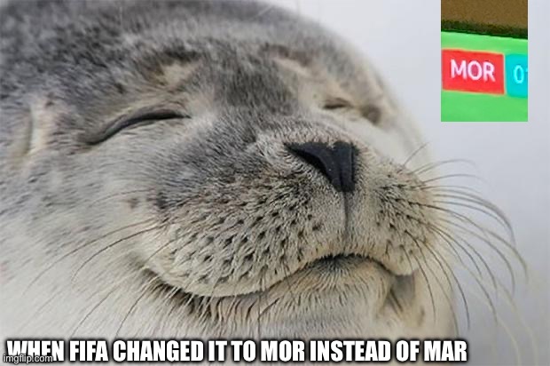 Satisfied Seal Meme | WHEN FIFA CHANGED IT TO MOR INSTEAD OF MAR | image tagged in memes,satisfied seal | made w/ Imgflip meme maker
