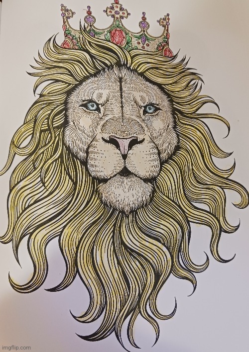 A coloring page I did | image tagged in lion | made w/ Imgflip meme maker
