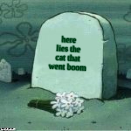 Here Lies X | here lies the cat that went boom | image tagged in here lies x | made w/ Imgflip meme maker