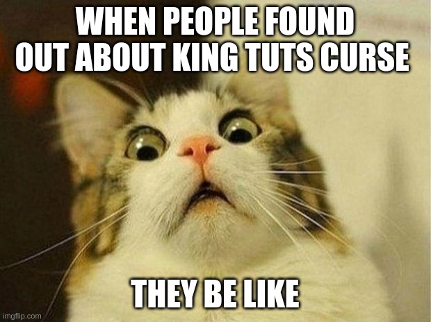so true | WHEN PEOPLE FOUND OUT ABOUT KING TUTS CURSE; THEY BE LIKE | image tagged in memes,scared cat | made w/ Imgflip meme maker