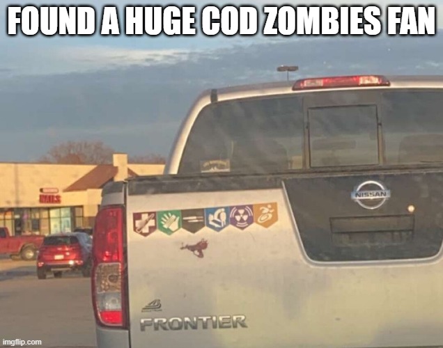 FOUND A HUGE COD ZOMBIES FAN | image tagged in gaming | made w/ Imgflip meme maker