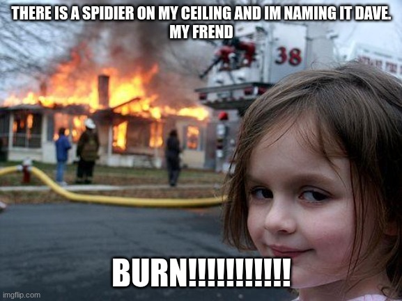 Disaster Girl | THERE IS A SPIDIER ON MY CEILING AND IM NAMING IT DAVE.
MY FREND; BURN!!!!!!!!!!! | image tagged in memes,disaster girl | made w/ Imgflip meme maker