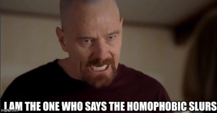 Homophobic slurs | image tagged in homophobic slurs | made w/ Imgflip meme maker