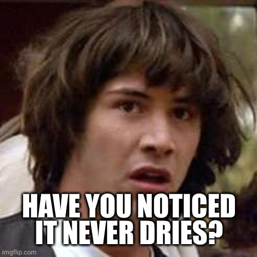 Conspiracy Keanu Meme | HAVE YOU NOTICED IT NEVER DRIES? | image tagged in memes,conspiracy keanu | made w/ Imgflip meme maker